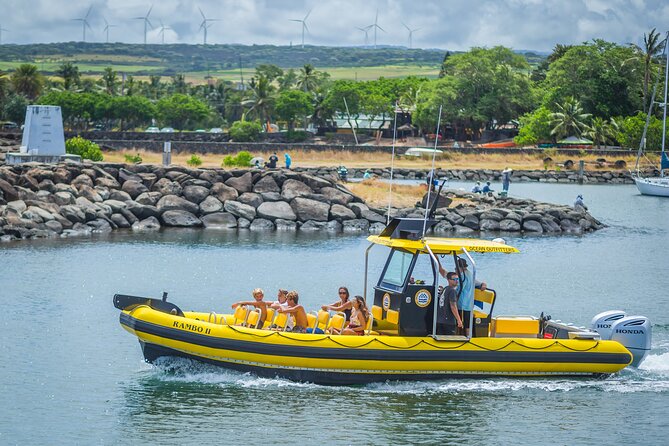 1.5-Hour Guided Whale Watching Tour - Guides who help without taking over
