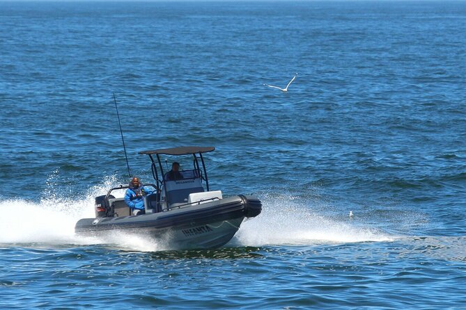 1 Day Whale Watching at Yzerfontein - Riding aboard Meganova