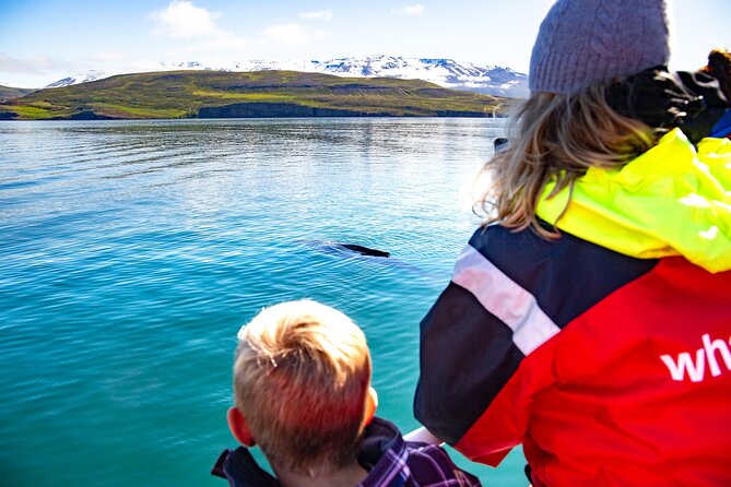 100% Whale Watching - Setting Out from the Small Harbor at Hauganes