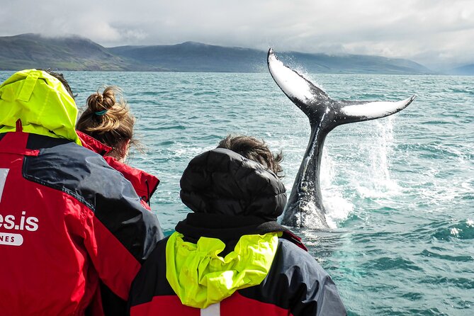 100% Whale Watching - A Traditional Boat and Warm Gear