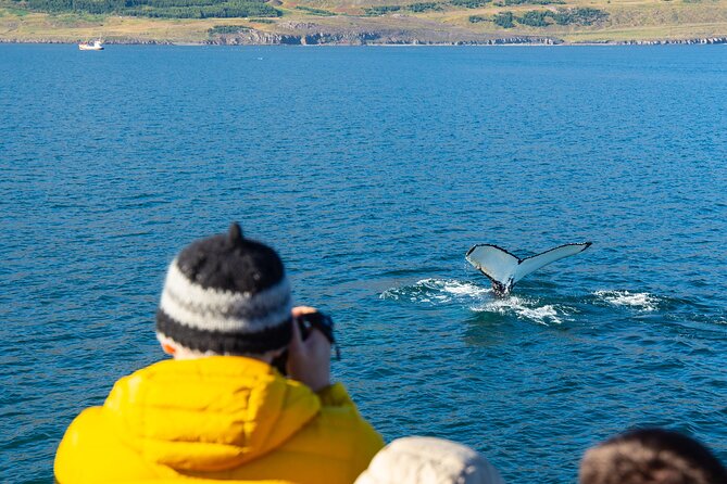 100% Whale Watching - Hot Drinks and Biscuits on the Return