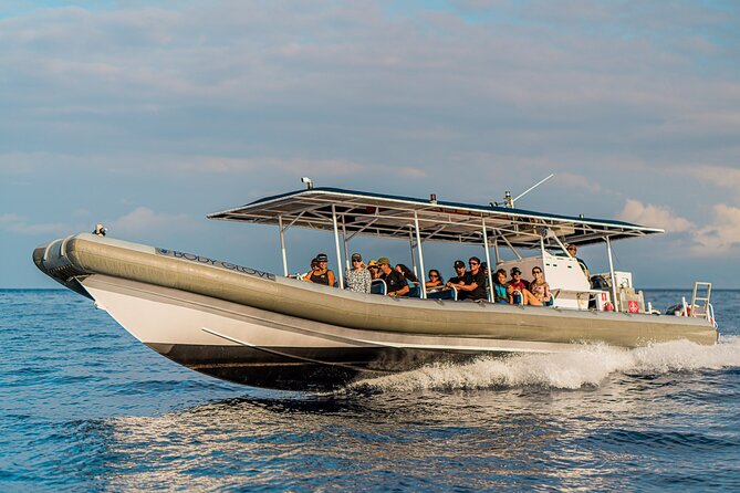 2.5-Hour Whale Watching On A 41' Super-Raft - Meeting at Kailua-Kona Pier