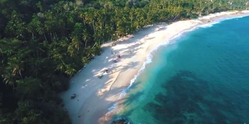 2-Day Whale Watching & Southern Sri Lanka Tour - What the guide and group size change