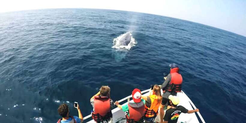 2-Day Whale Watching & Southern Sri Lanka Tour - Bentota River: a quiet change of pace