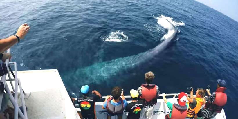 2-Day Whale Watching & Southern Sri Lanka Tour - Day one: Colombo to Bentota and the southern coast