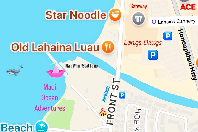2 Hour Afternoon Lahaina Whale Watch - What you may see in the sanctuary waters