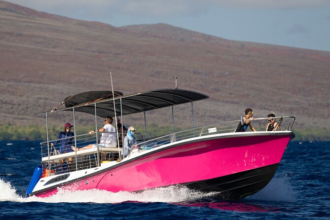 2 Hour Afternoon Lahaina Whale Watch - Photography, whale song, and GoPro options