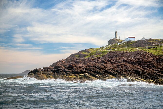 2 Hour Award-Winning Whale and Seabird Boat Tour from St. John's - The crew, commentary, and Newfoundland character