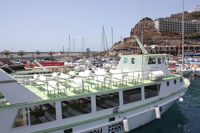 2-Hour Dolphin and Whale Watching in Gran Canaria - Who will enjoy this cruise most?