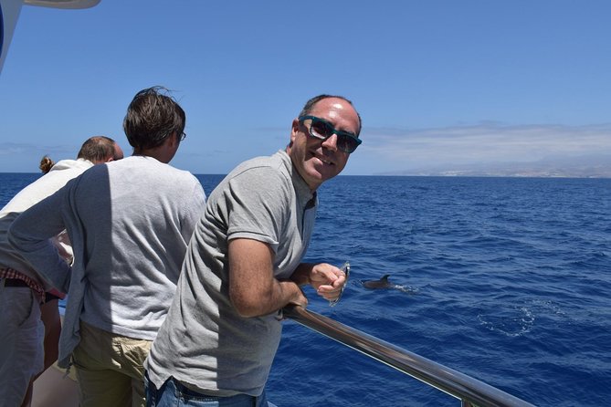 2-Hour Dolphin and Whale Watching in Gran Canaria - Two hours in the Atlantic