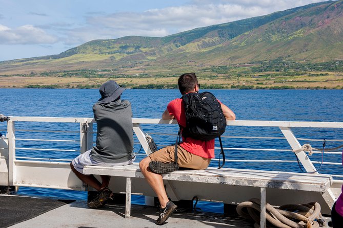 2-Hour Oahu Whale Watch from Ala Wai Harbor, Waikiki - What the whale sightings can really be like