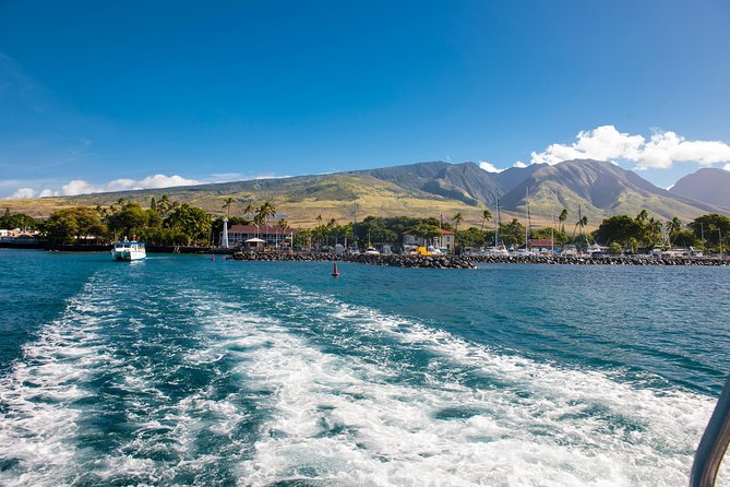 2-Hour Oahu Whale Watch from Ala Wai Harbor, Waikiki - A boat built for comfort, with a few trade-offs