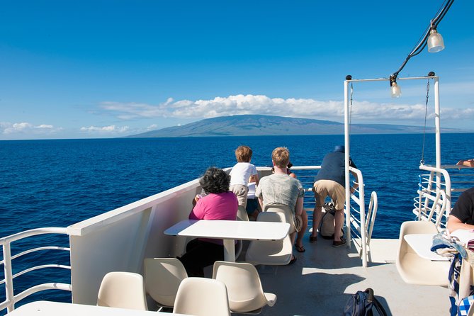 2-Hour Oahu Whale Watch from Ala Wai Harbor, Waikiki - The crew makes a big difference