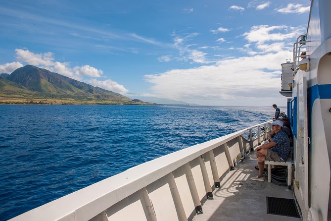 2-Hour Oahu Whale Watch from Ala Wai Harbor, Waikiki - Who should book this Waikiki whale watch?