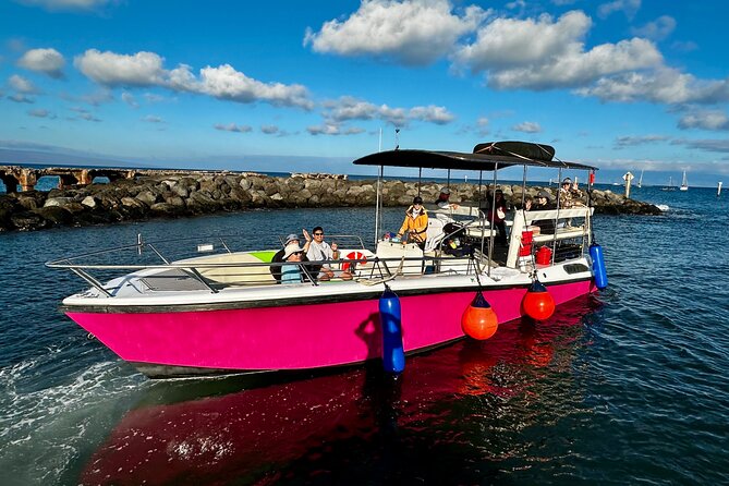 2 Hour Prime Time Maui Whale Watching - Island views beyond the whales