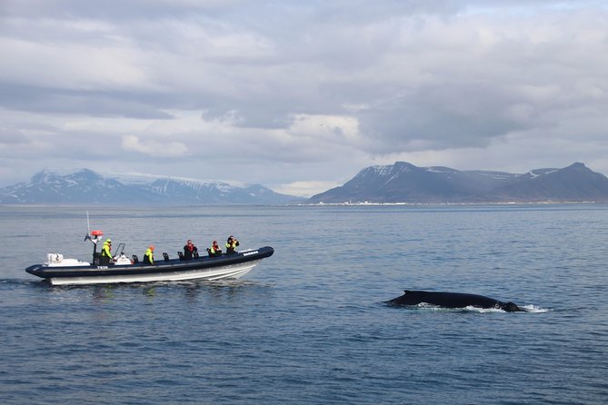 2-Hour RIB Boat Whale Watching Tour from Reykjavik - Getting suited up for Faxaflói Bay