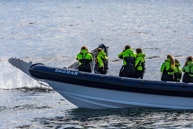 2-Hour RIB Boat Whale Watching Tour from Reykjavik - Why the guides and captain matter