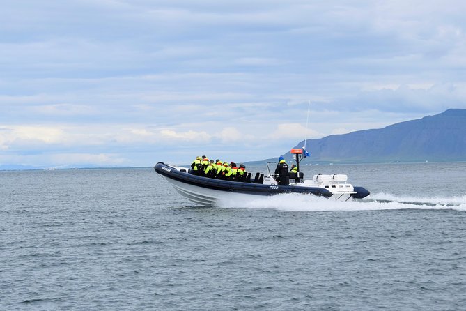 2-Hour RIB Boat Whale Watching Tour from Reykjavik - Akurey and the summer puffin stop