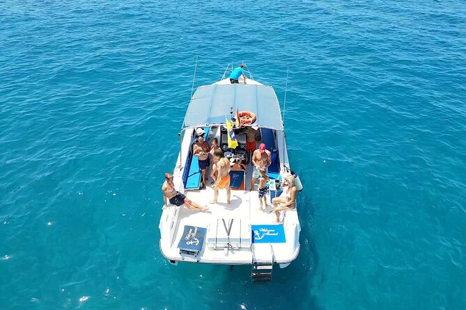 2 hour trip to see whales dolphins puerto colon adeje - Key points at a glance