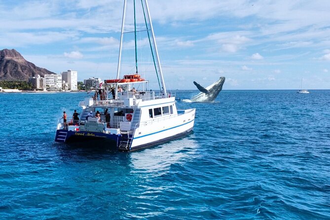 2 Hour Waikiki Whale Watching Cruise from Oahu - The cruise at a glance