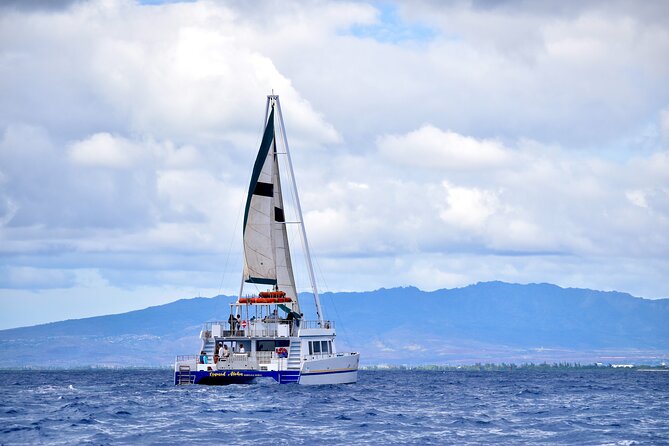2 Hour Waikiki Whale Watching Cruise from Oahu - How much value do you get for $40?