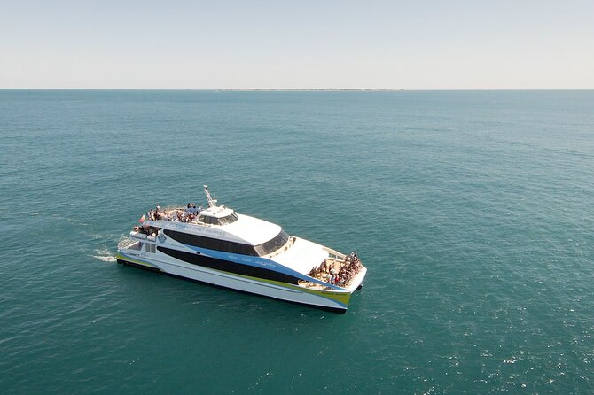 2 Hour Whale-Watching Cruise from Hillarys Boat Harbour - Key points to know before booking