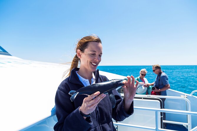 2 Hour Whale-Watching Cruise from Hillarys Boat Harbour - The two-hour search for humpback whales
