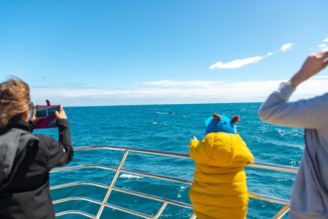 2 Hour Whale-Watching Cruise from Hillarys Boat Harbour - What to do during the 30 minutes around Hillarys