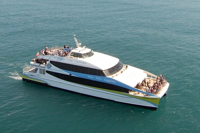 2 hour whale watching experience departing Hillarys Boat Harbour - Who will enjoy this cruise most