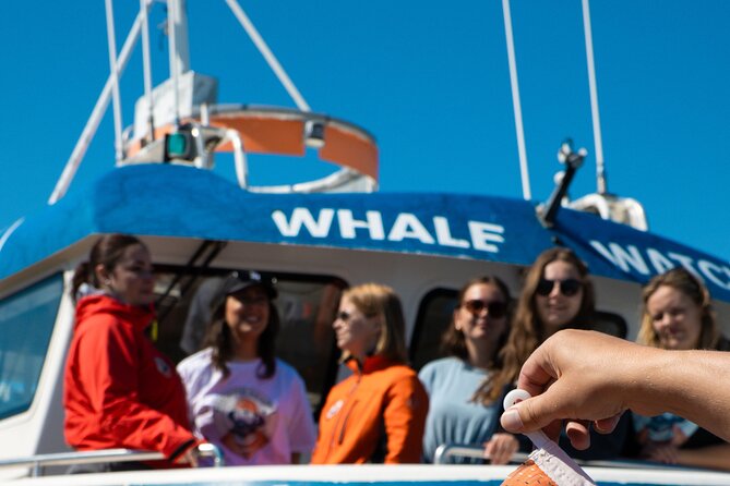 2 Hours Whale Watching Express Adventure - Choosing the best time for your cruise