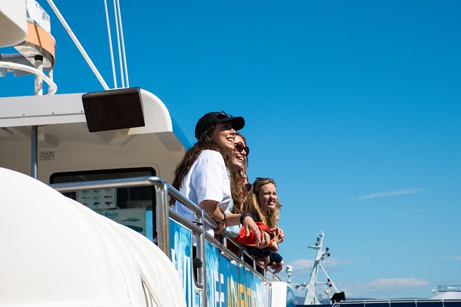 2 Hours Whale Watching Express Adventure - Who will get the most from this trip