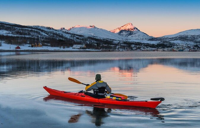24hr Northern Lights & Whale Watching Cruise - Key points at a glance