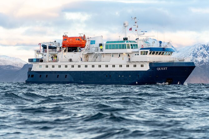 24hr Northern Lights & Whale Watching Cruise - Leaving Tromsø after dark