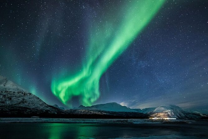 24hr Northern Lights & Whale Watching Cruise - Whale watching near Skjervøya