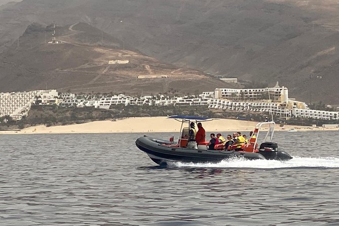 2h Dolphin and Whale Viewing + Snorkeling Tour - The snorkeling stop and colorful seabed