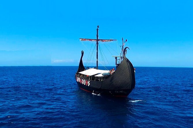 2h Viking Cruise Whales & Dolphins Watching - Who will enjoy this cruise most?