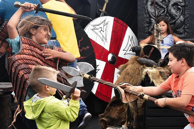 2h Viking Cruise Whales & Dolphins Watching - A Viking boat with room for families