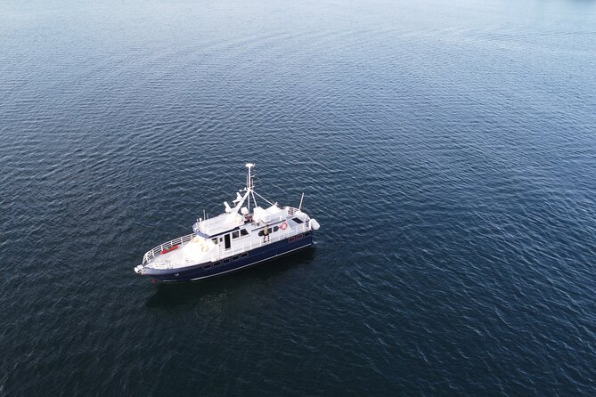 3.5-Hour Arctic Magic with Fjord and Whale Watching Adventure - Who will enjoy this Altafjord outing?