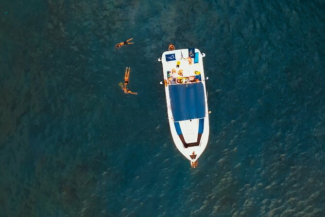 3-hour excursion to Puerto Colón Adeje to see whales - The cove stop adds a welcome change of pace