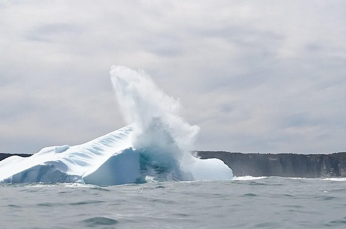 3 Hour Ocean Safari by Zodiac Boat -Whales & Icebergs seasonally - The weather is part of the experience