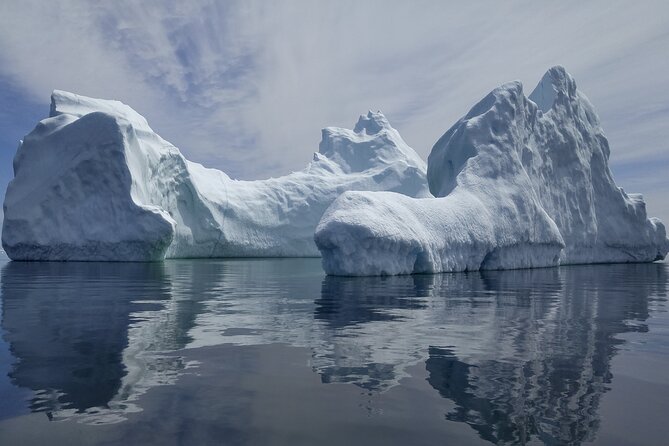 3 Hour Ocean Safari by Zodiac Boat -Whales & Icebergs seasonally - Who will enjoy this Zodiac tour most?