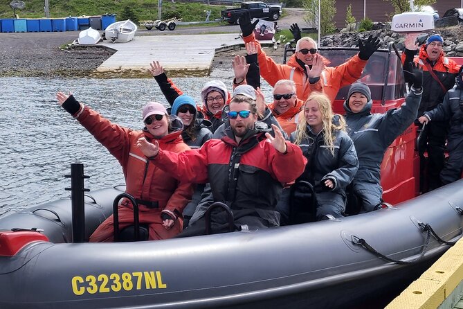 3 Hour Ocean Safari by Zodiac Boat -Whales & Icebergs seasonally - What the best sightings can look like