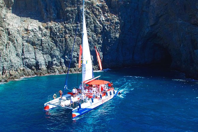 3-hour Whale and Dolphin Watching and Listening Tour - Key points at a glance