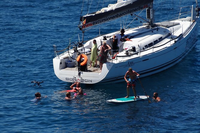 3 Hours All Inclusive Whale and Dolphin Whatching Yacht Trip - Los Gigantes and Masca from the water