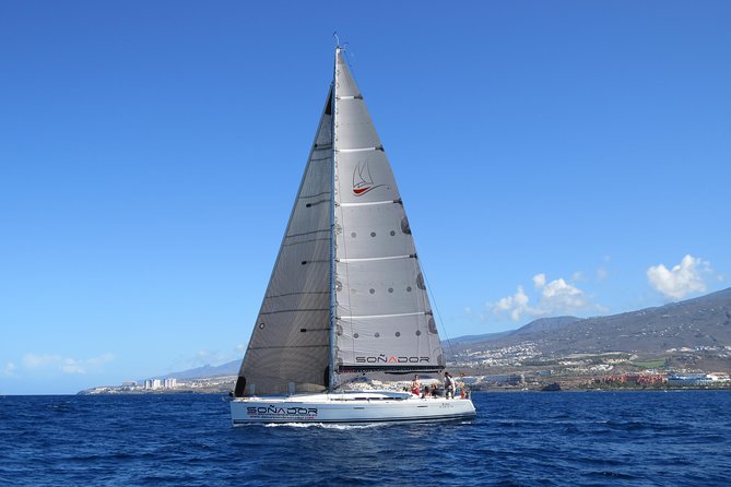 3 Hours All Inclusive Whale and Dolphin Whatching Yacht Trip - Three hours on the Soñador yacht