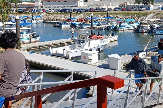 3 Hours of Whale Watching in Puerto Vallarta - The Nayarit side of the bay and the return