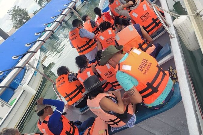 3 Hours of Whale Watching in Puerto Vallarta - What the 55-dollar price really buys