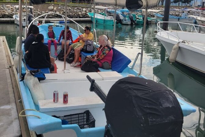 3 Hours of Whale Watching in Puerto Vallarta - Comfort, safety, and communication