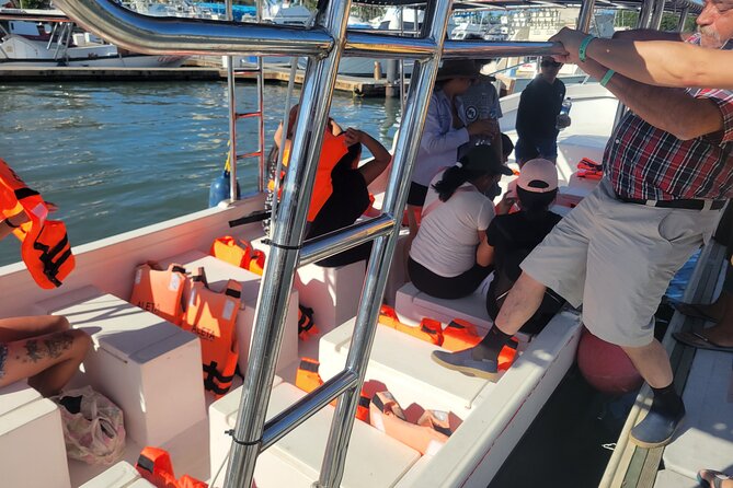 3 Hours of Whale Watching in Puerto Vallarta - Who will enjoy this whale trip most