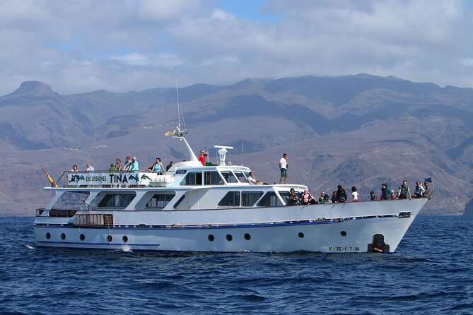 3 hrs Boat Excursion for whale watching from Valle GR (La Gomera) - Whale and dolphin watching in open water